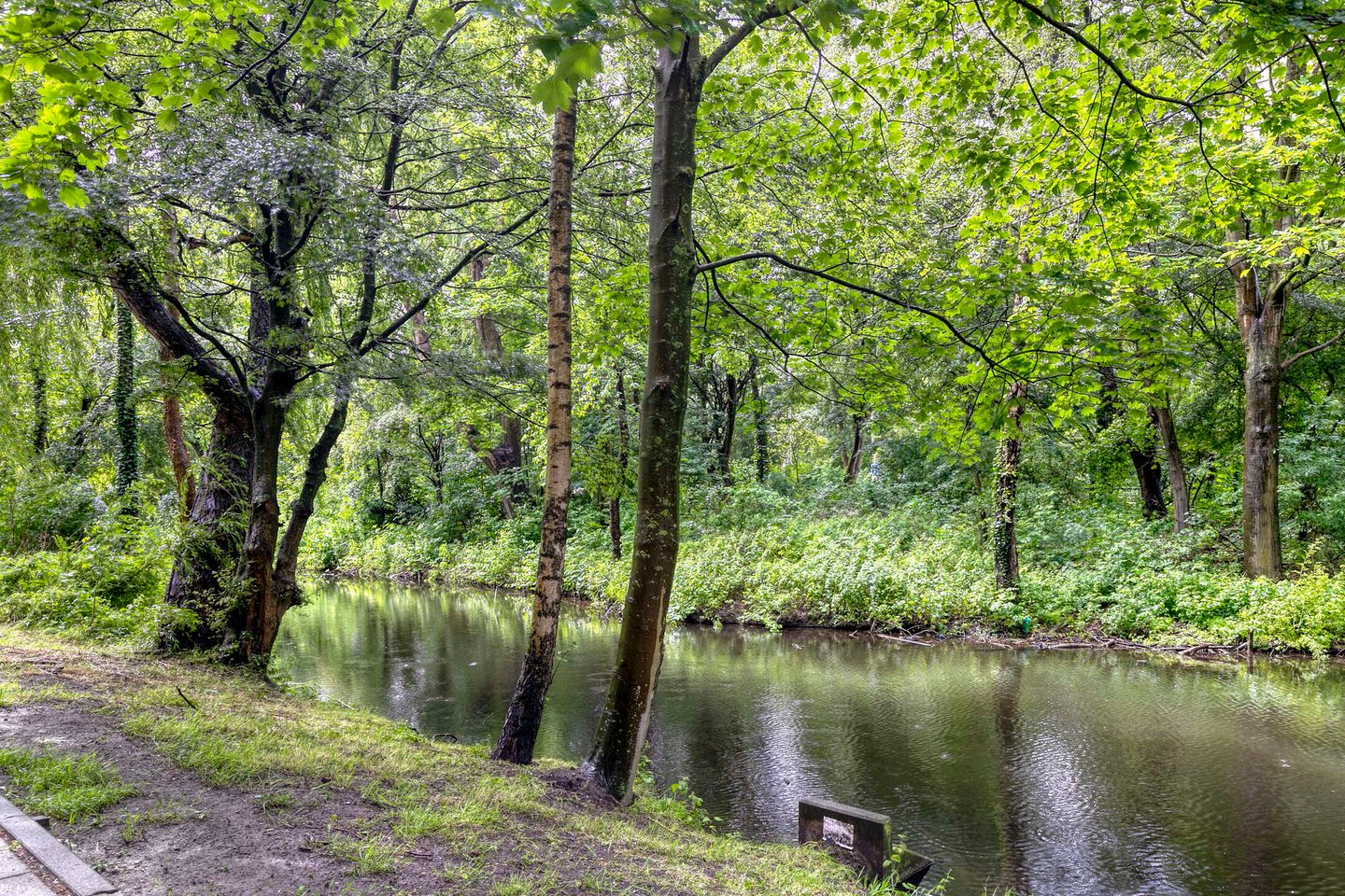 Foto 34 van Oostervenne 426