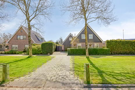 Bernardus Hollanderstraat thumbnail