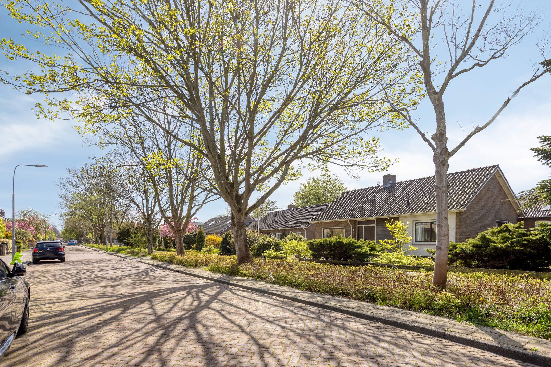 van der Ploegstraat 93 