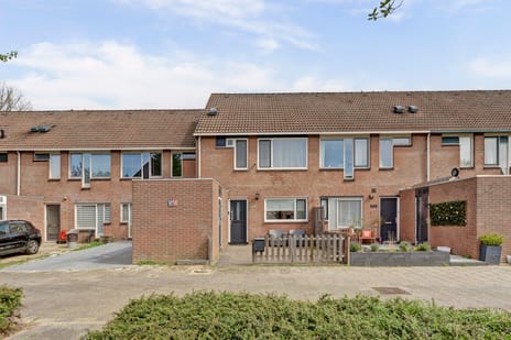 Zebraspoor thumbnail