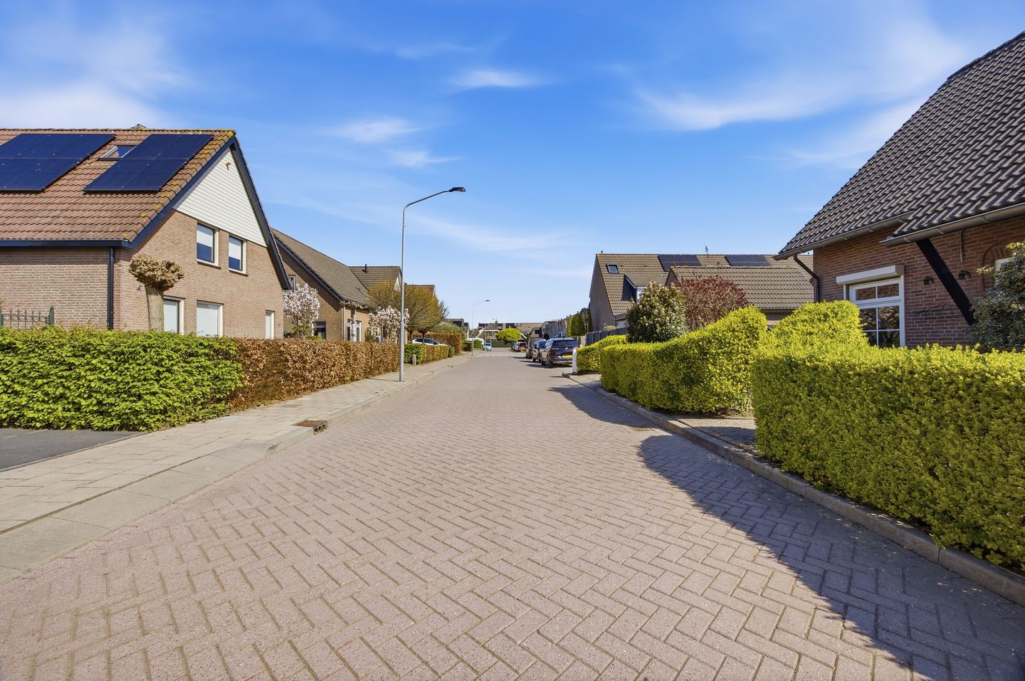 Foto 49 van Griendwerkerstraat 82