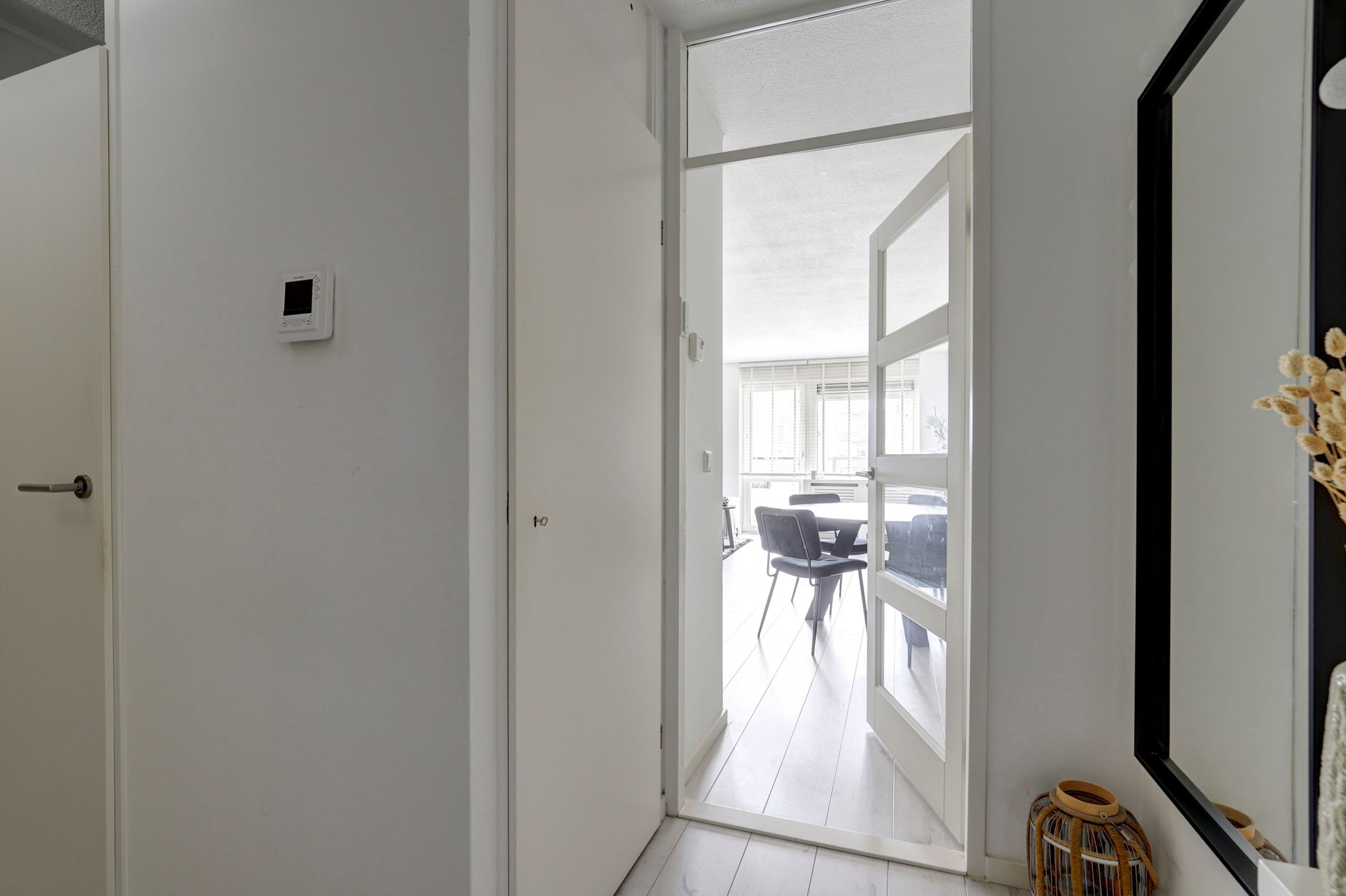 Foto 9 van Tomatenplein 195