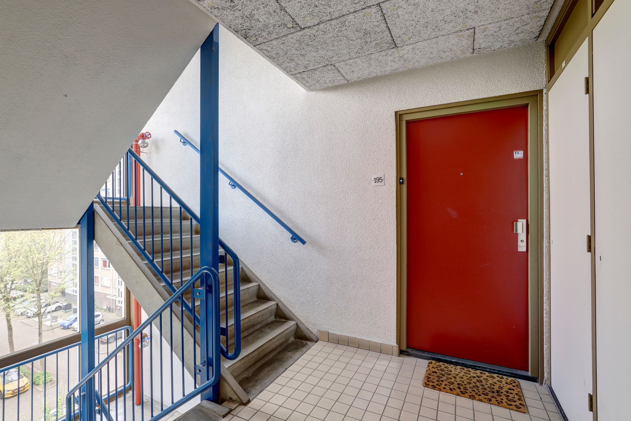 Foto 42 van Tomatenplein 195