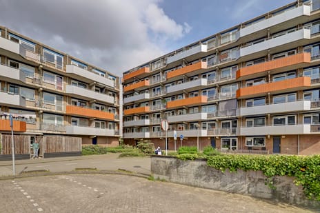 Tomatenplein thumbnail