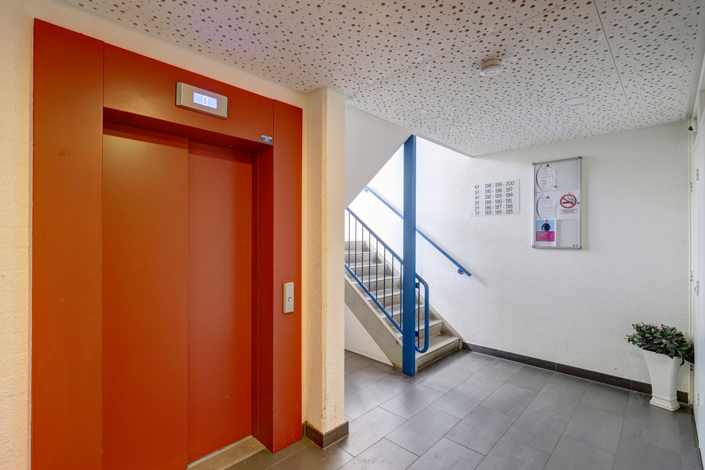 Foto 5 van Tomatenplein 195