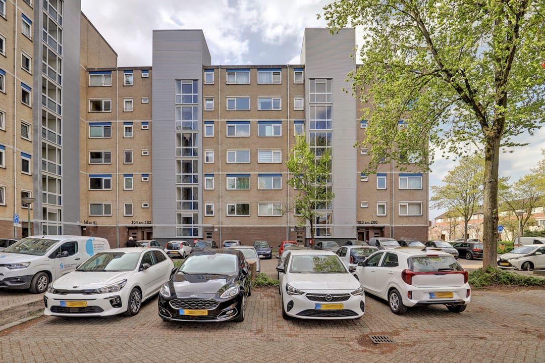 Foto 46 van Tomatenplein 195