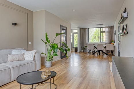 Pieter de Hoochstraat thumbnail