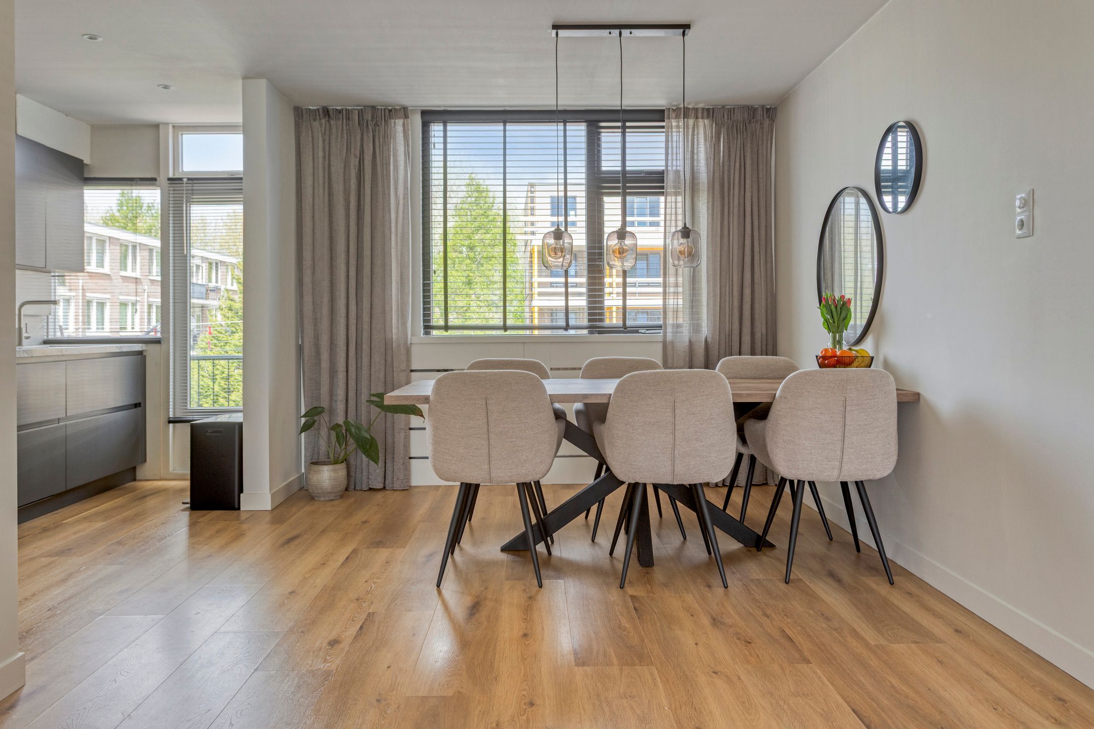 Foto 9 van Pieter de Hoochstraat 66