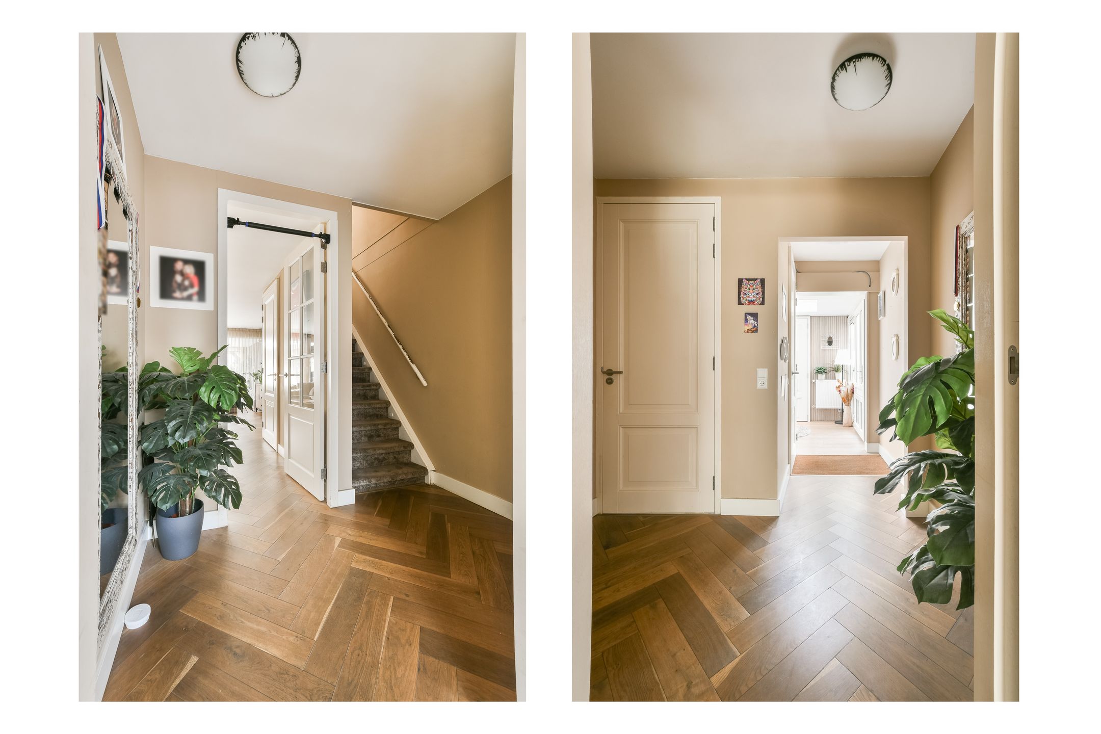 Foto 15 van Meerkoethof 28