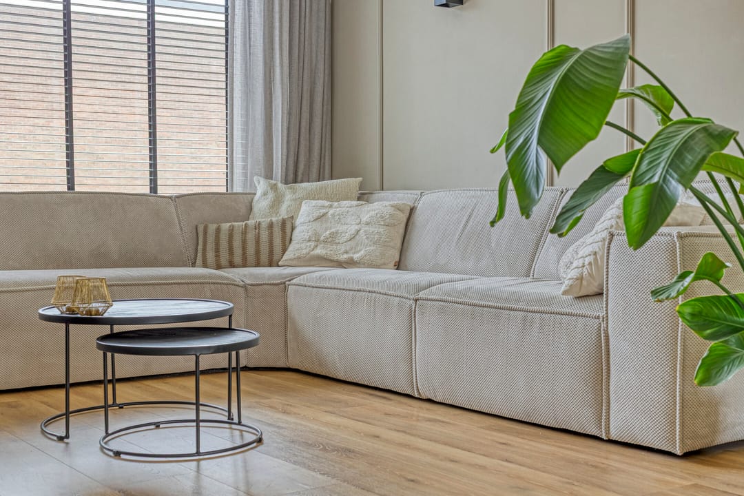 Foto 7 van Pieter de Hoochstraat 66