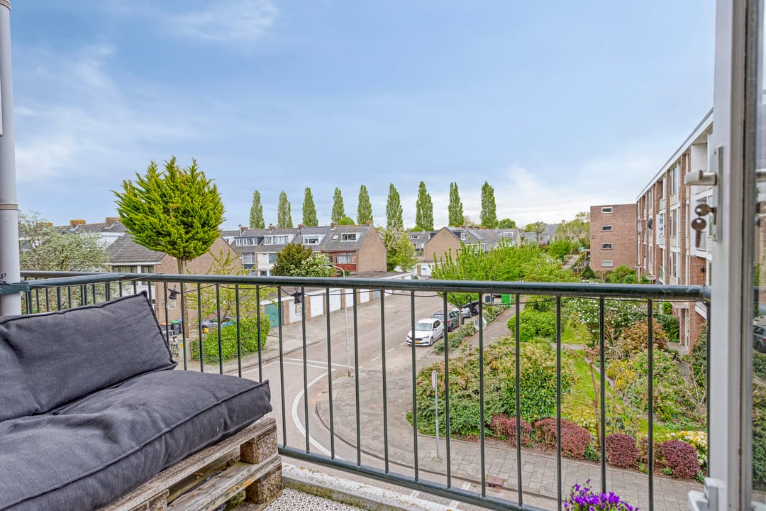 Foto 22 van Pieter de Hoochstraat 66