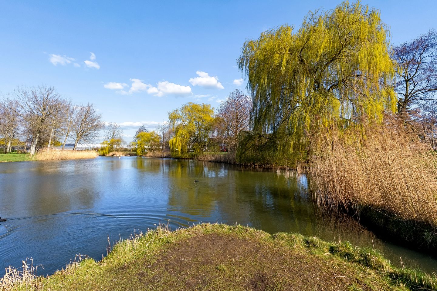 Foto 55 van Clare Lennartstraat 16