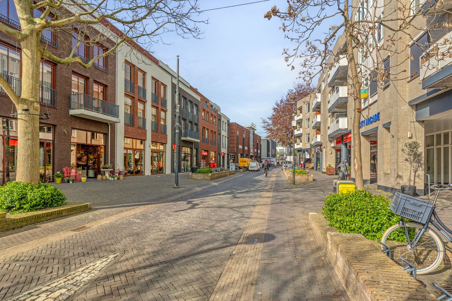 Foto 29 van Van Boetzelaerstraat 29-A