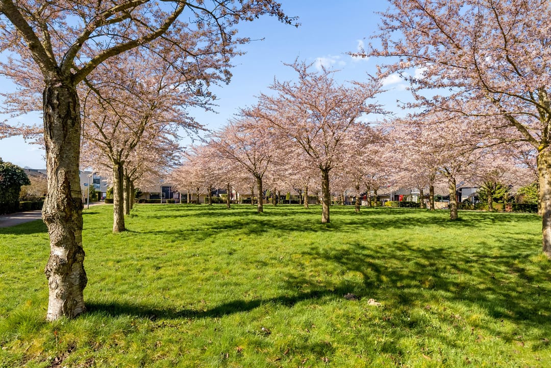 Foto 53 van Clare Lennartstraat 16