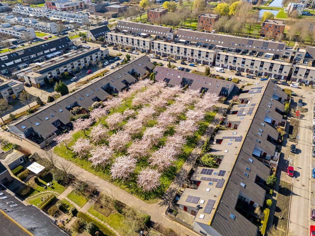 Foto 58 van Clare Lennartstraat 16