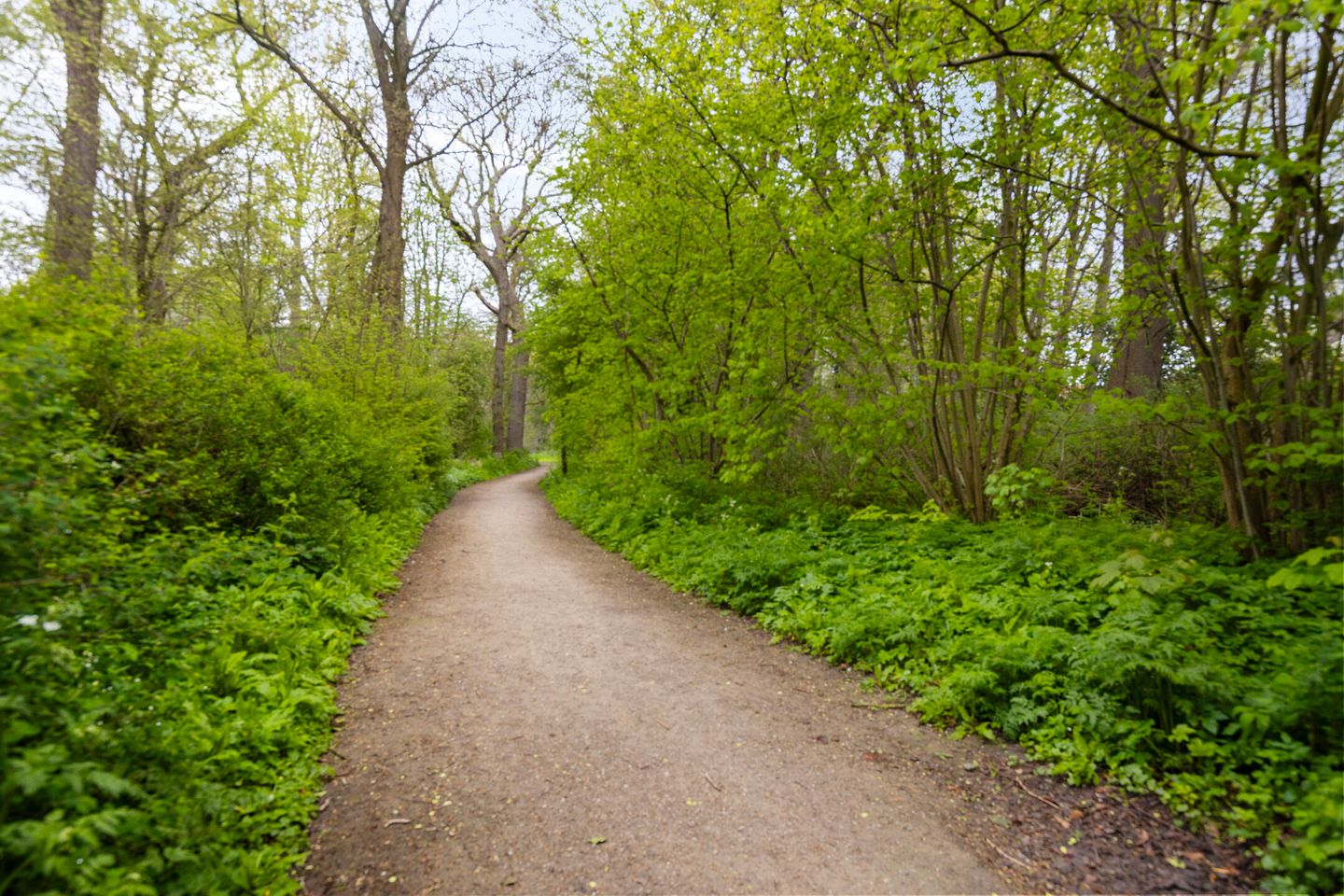 Foto 49 van Kennemerstraatweg 143