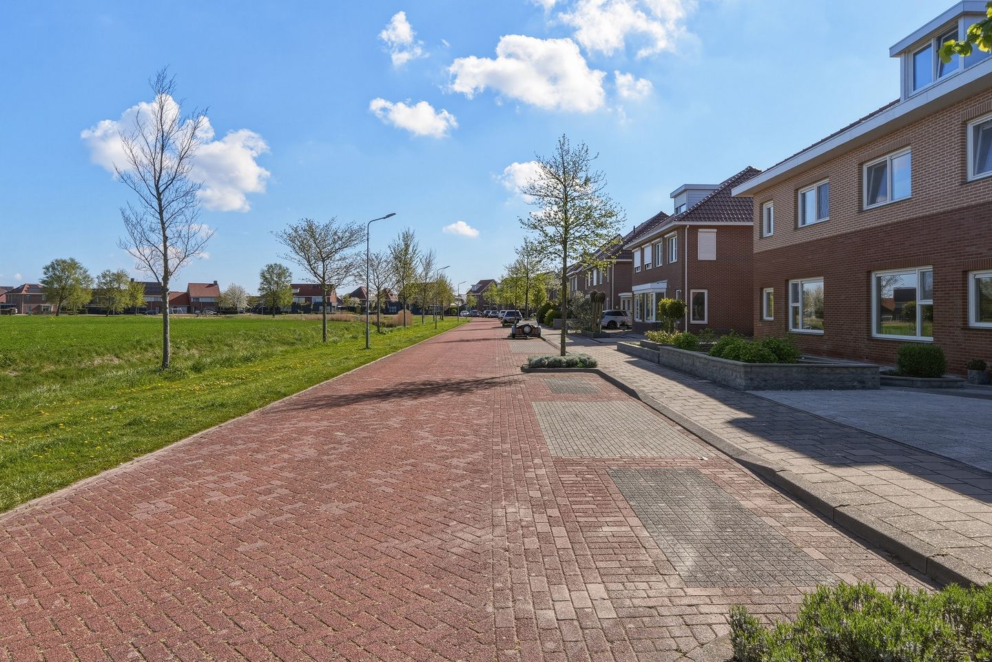 Foto 40 van Hoogaars 20