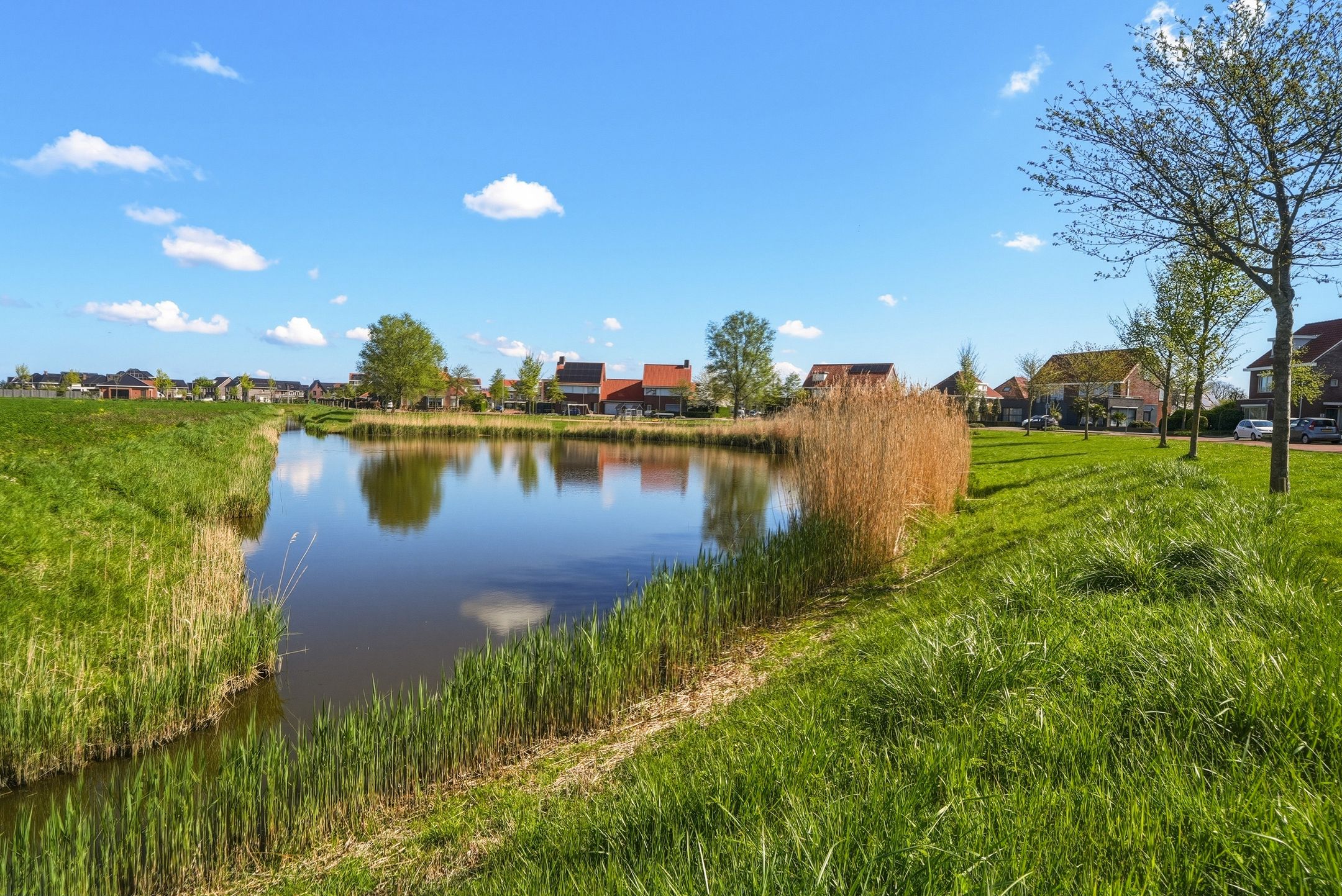 Foto 42 van Hoogaars 20