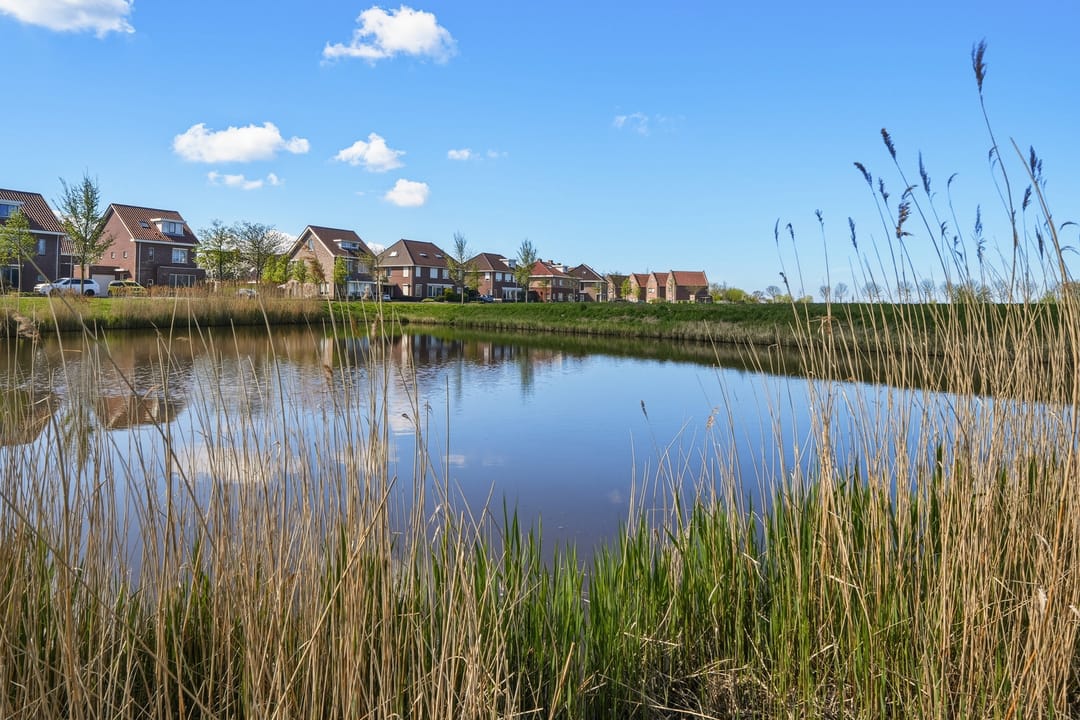 Foto 41 van Hoogaars 20