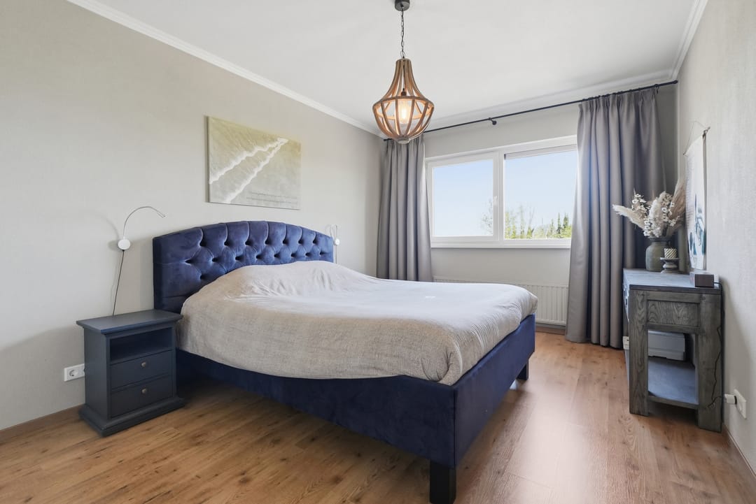 Foto 22 van Hoogaars 20