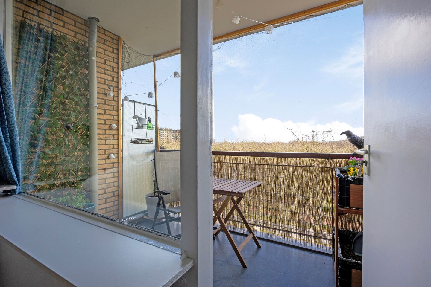 Foto 29 van Livingstonelaan 570