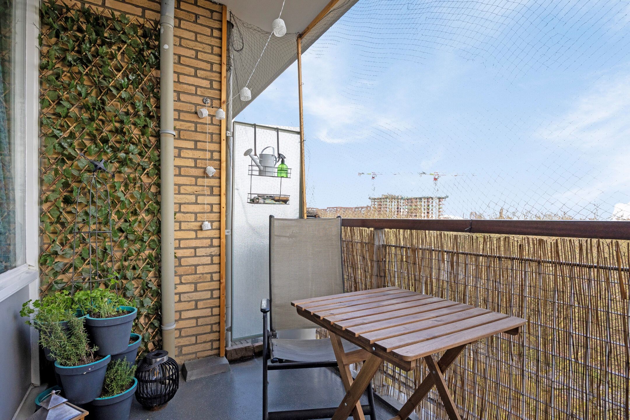 Foto 30 van Livingstonelaan 570