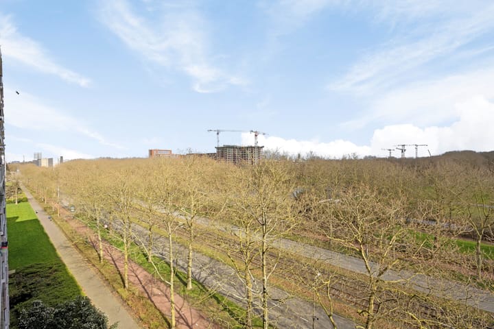 Foto 5 van Livingstonelaan 570