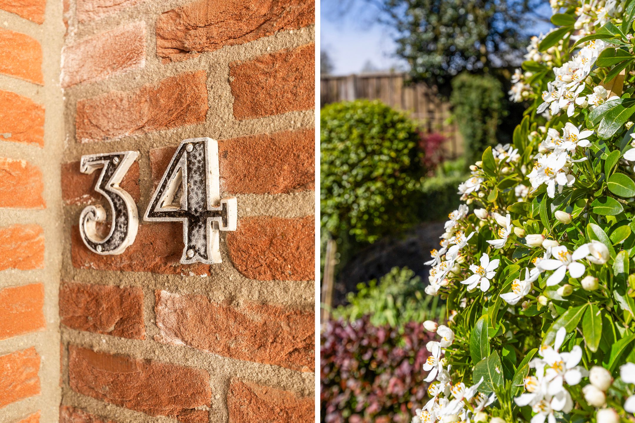 Photo 54 of Jagerslaan 34