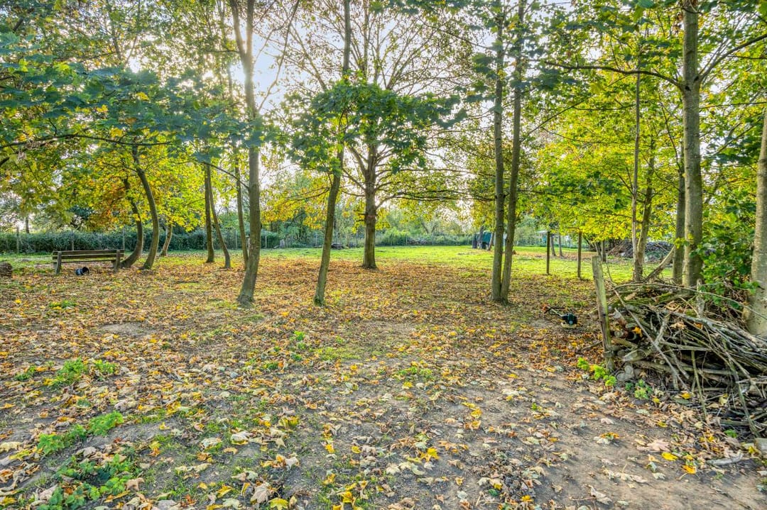 Foto 41 van Grensstraat 1