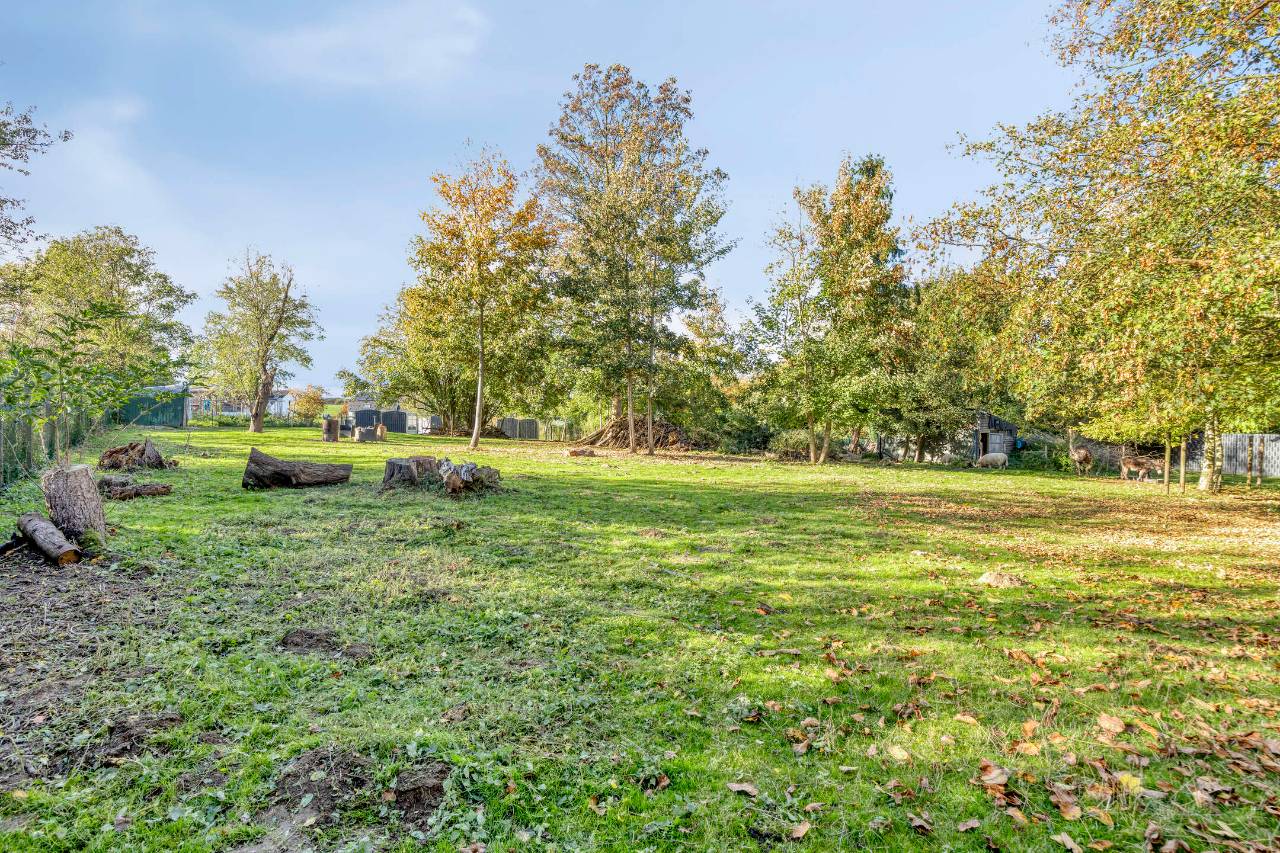 Foto 42 van Grensstraat 1