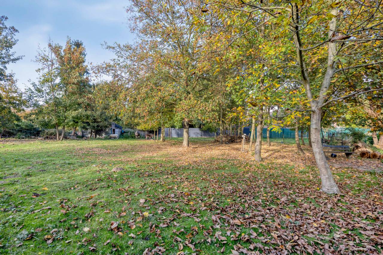 Foto 45 van Grensstraat 1