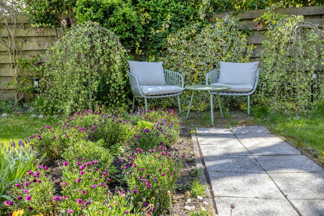 Foto 38 van Rhijnvreugd 7