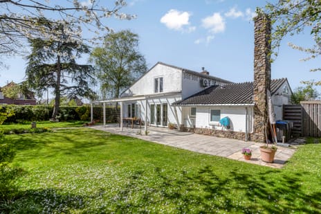 Rhijnvreugd thumbnail