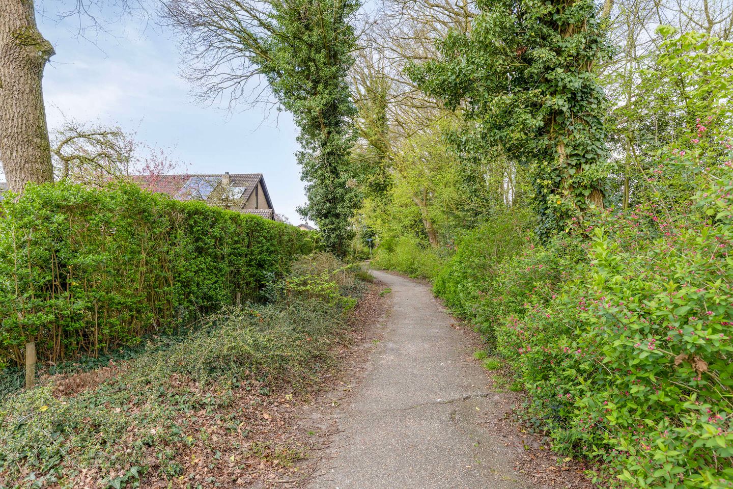 Foto 40 van Twijnerstraat 11