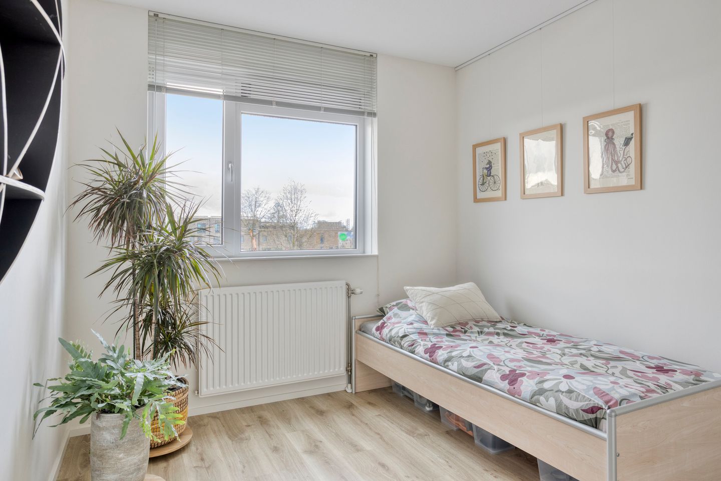 Foto 29 van Zuiderspoorstraat 37