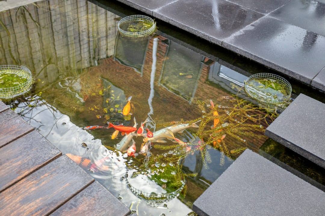 Foto 38 van Zuiderspoorstraat 37