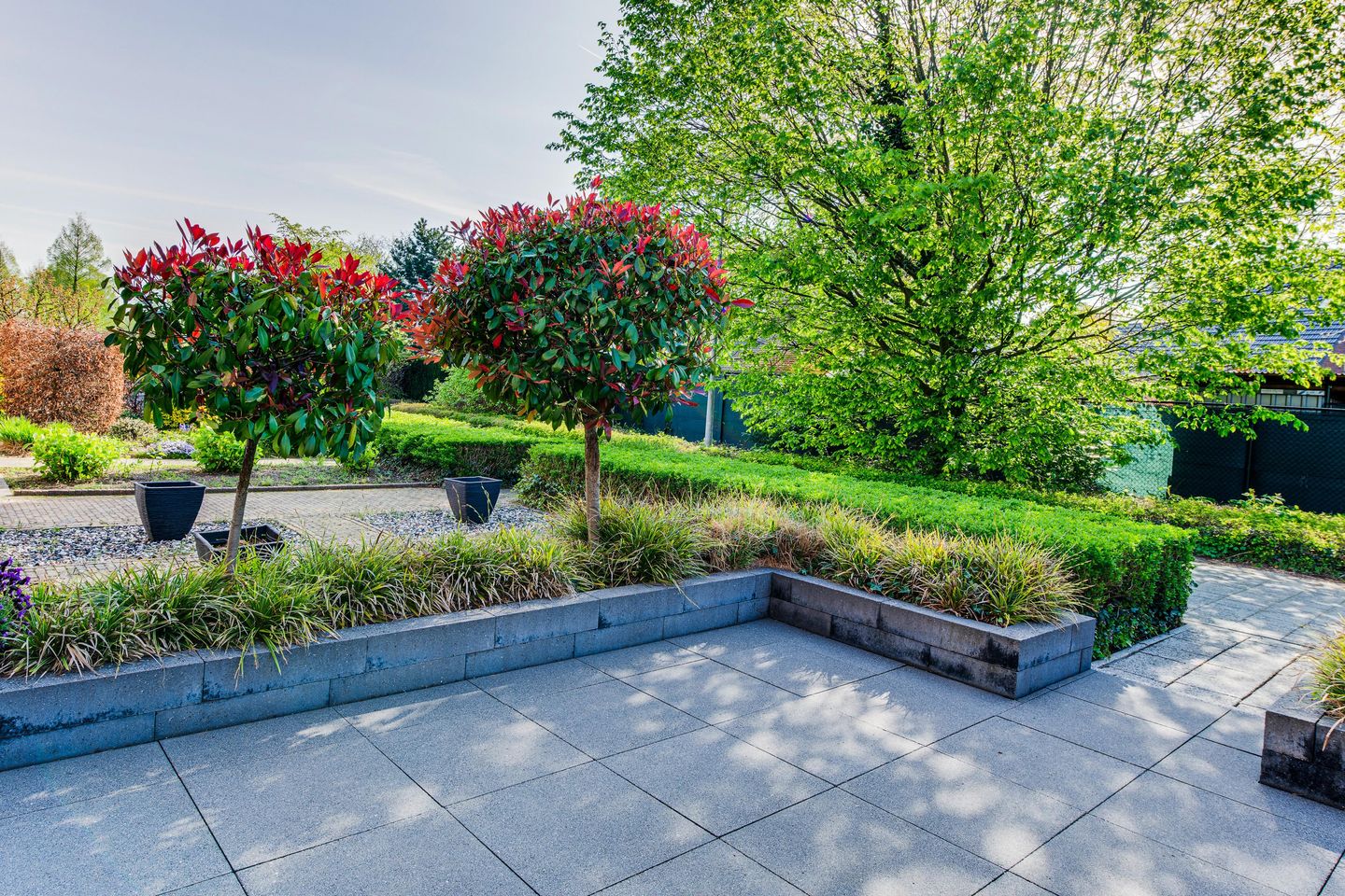 Foto 5 van Beltmolen 6