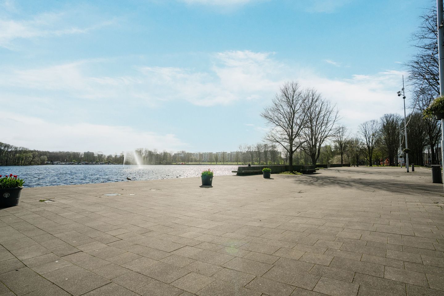 Photo 50 of Van Suchtelen van de Haarestraat 107