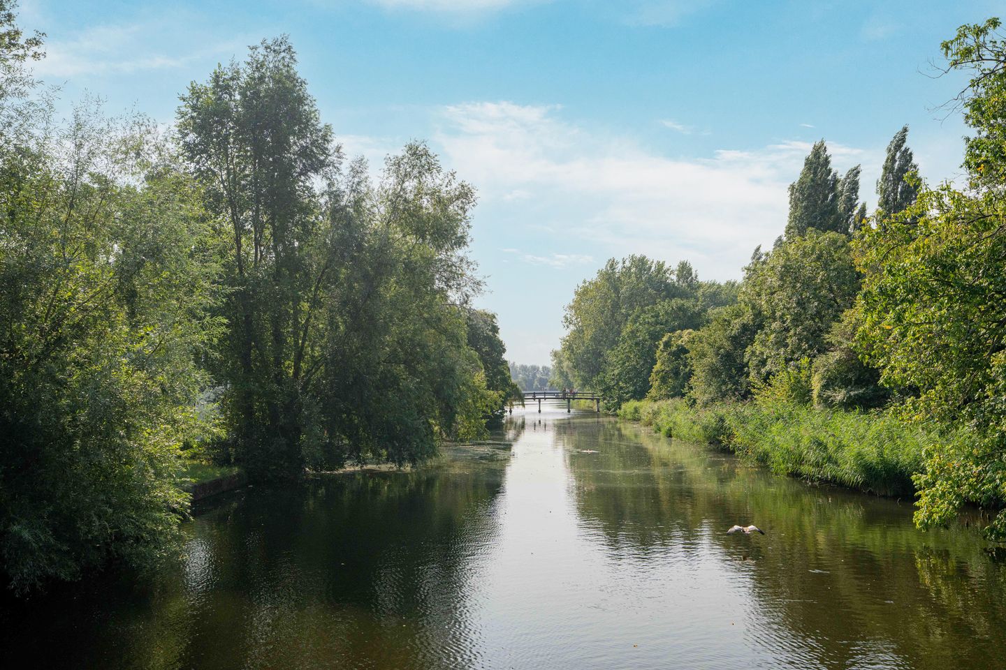 Photo 44 of Van Suchtelen van de Haarestraat 107