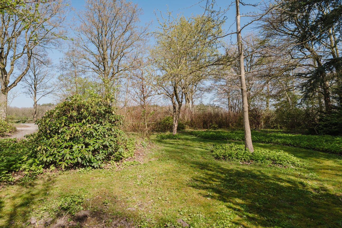 Photo 4 of Leidijk 6-B