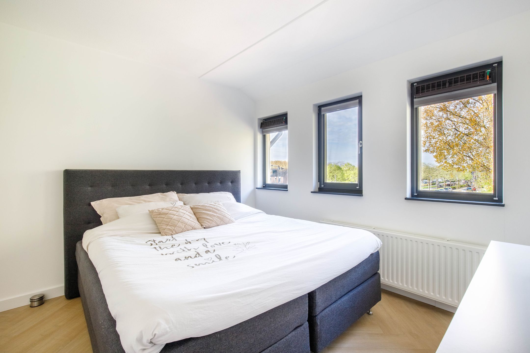 Foto 30 van Carel Willinksingel 294