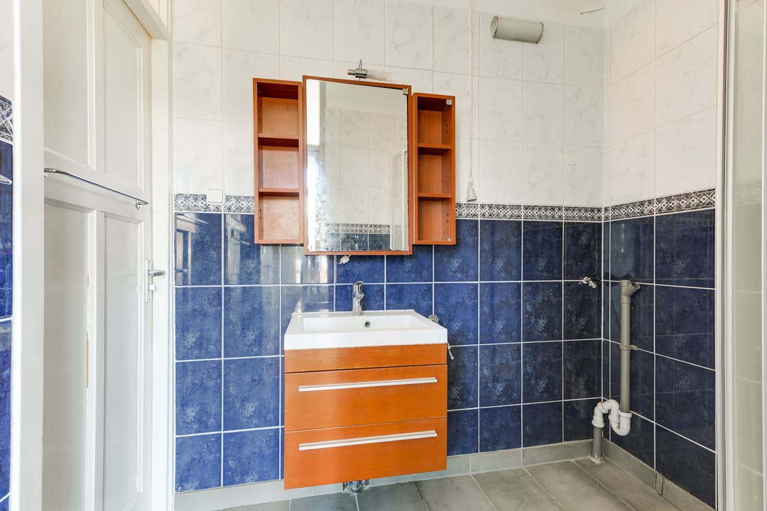 Foto 22 van Cornelis van der Lijnstraat 69