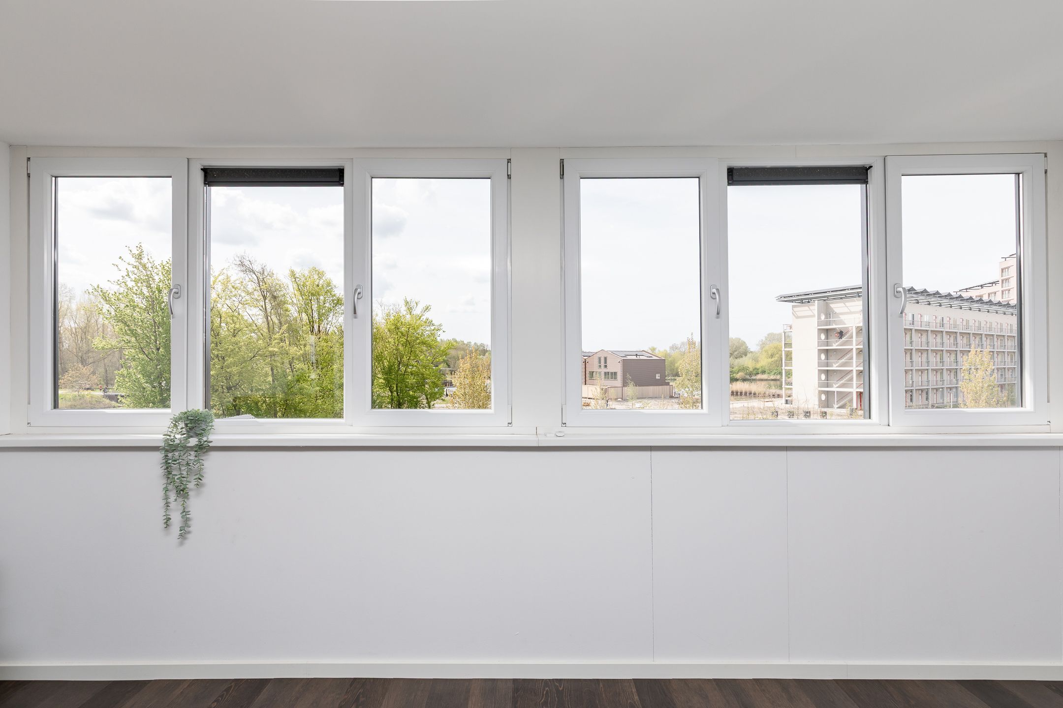 Photo 72 of Cecil Powellhof 3