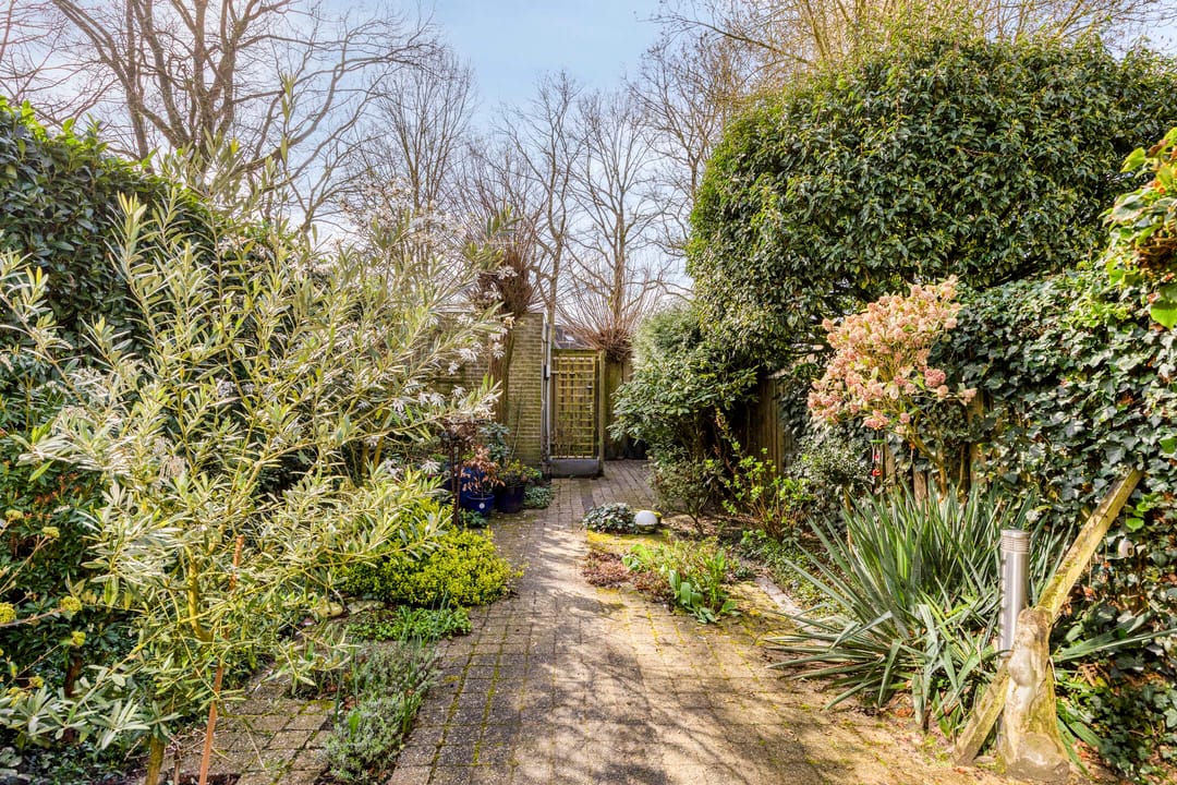 Photo 38 of De Volder 20