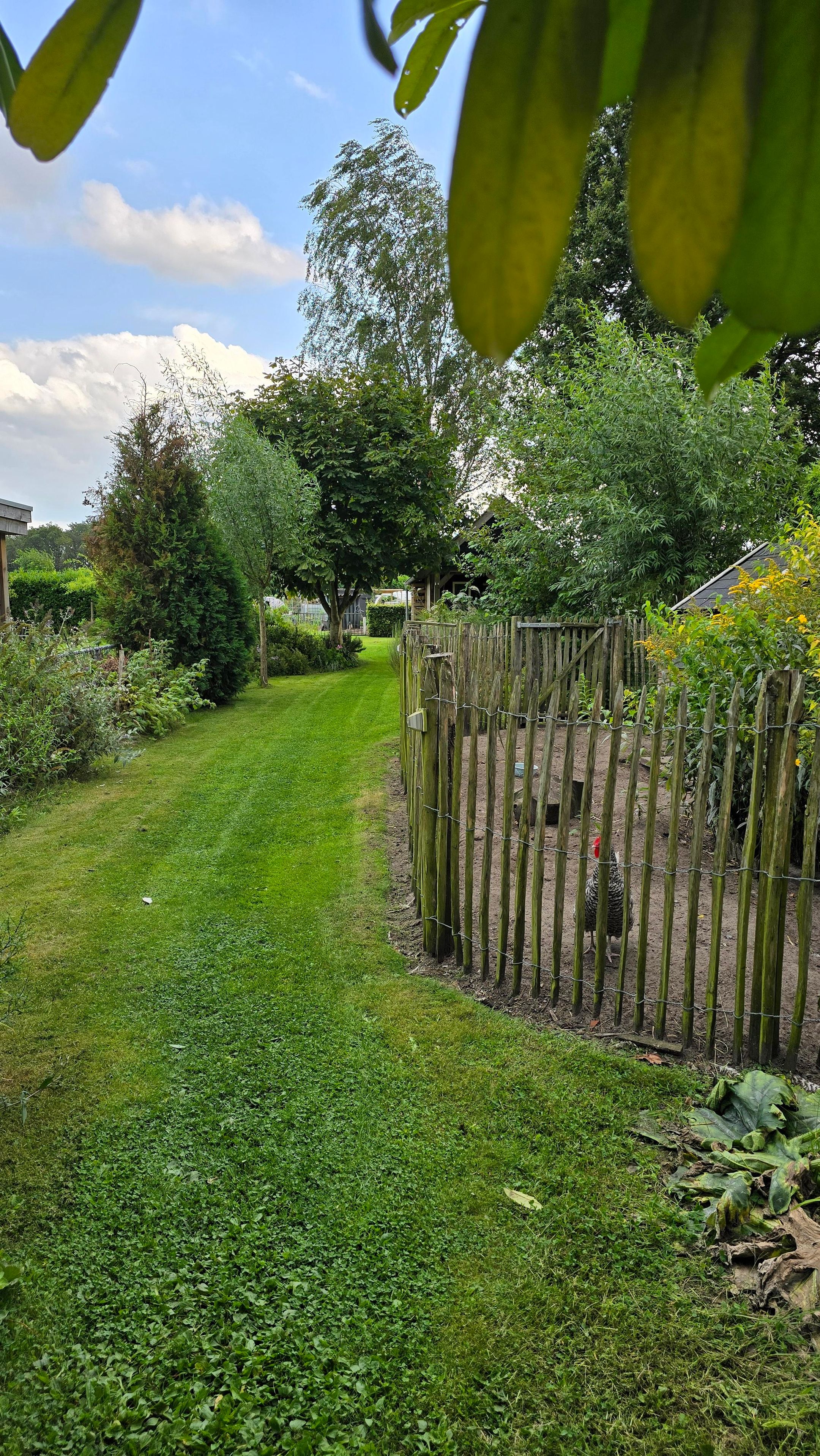 Photo 81 of Wouwbaan 136