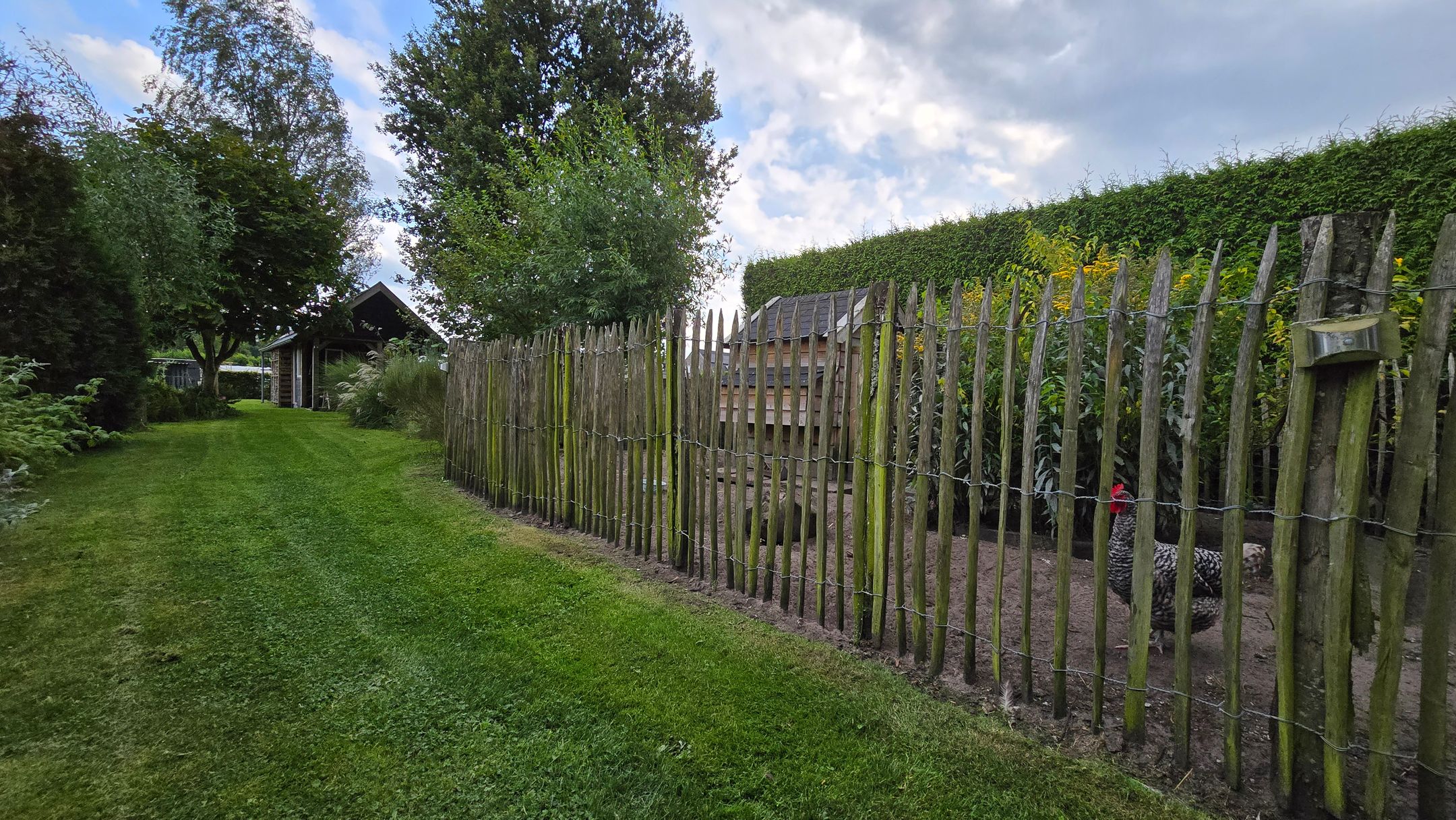 Photo 84 of Wouwbaan 136