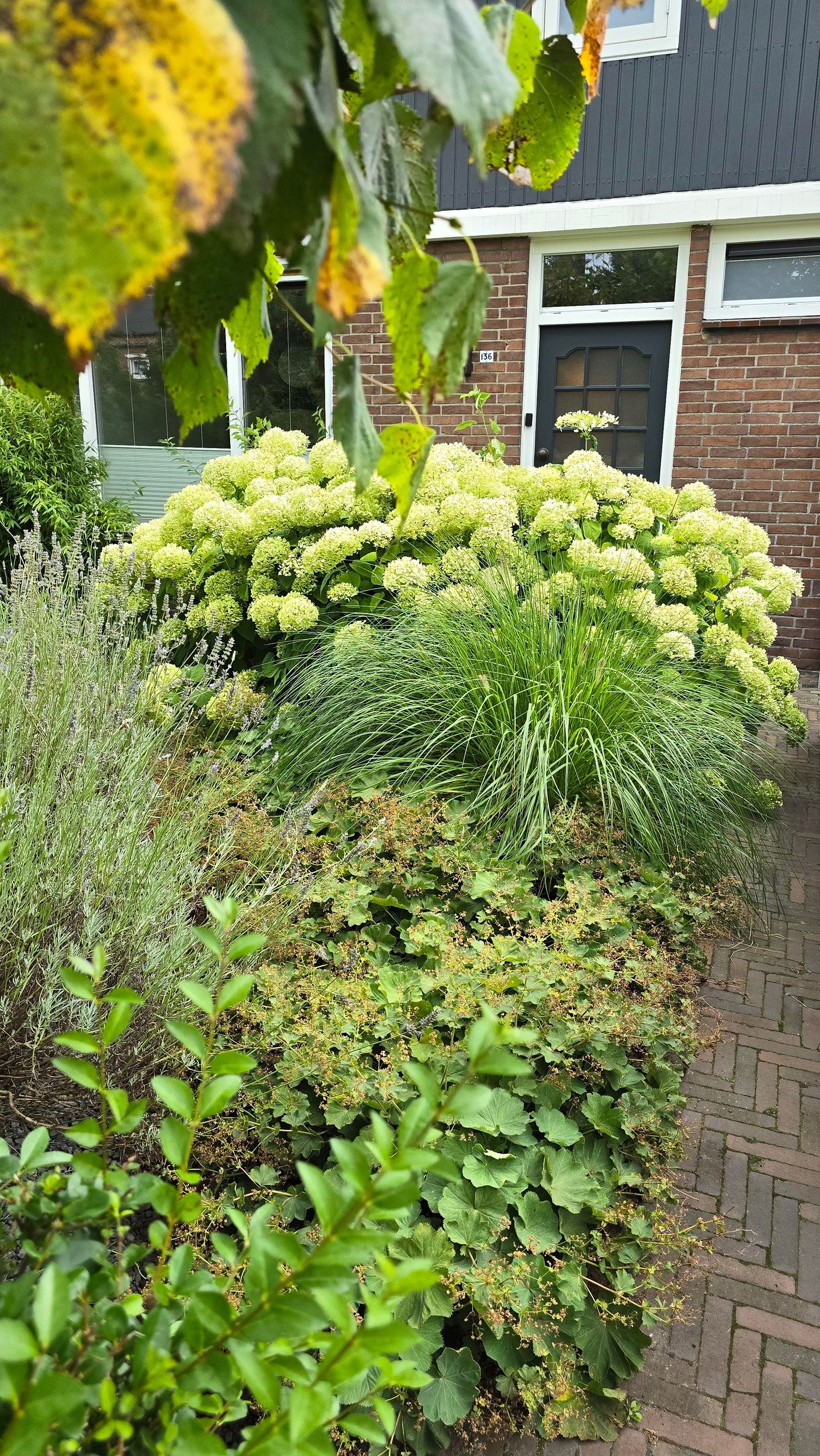 Photo 80 of Wouwbaan 136