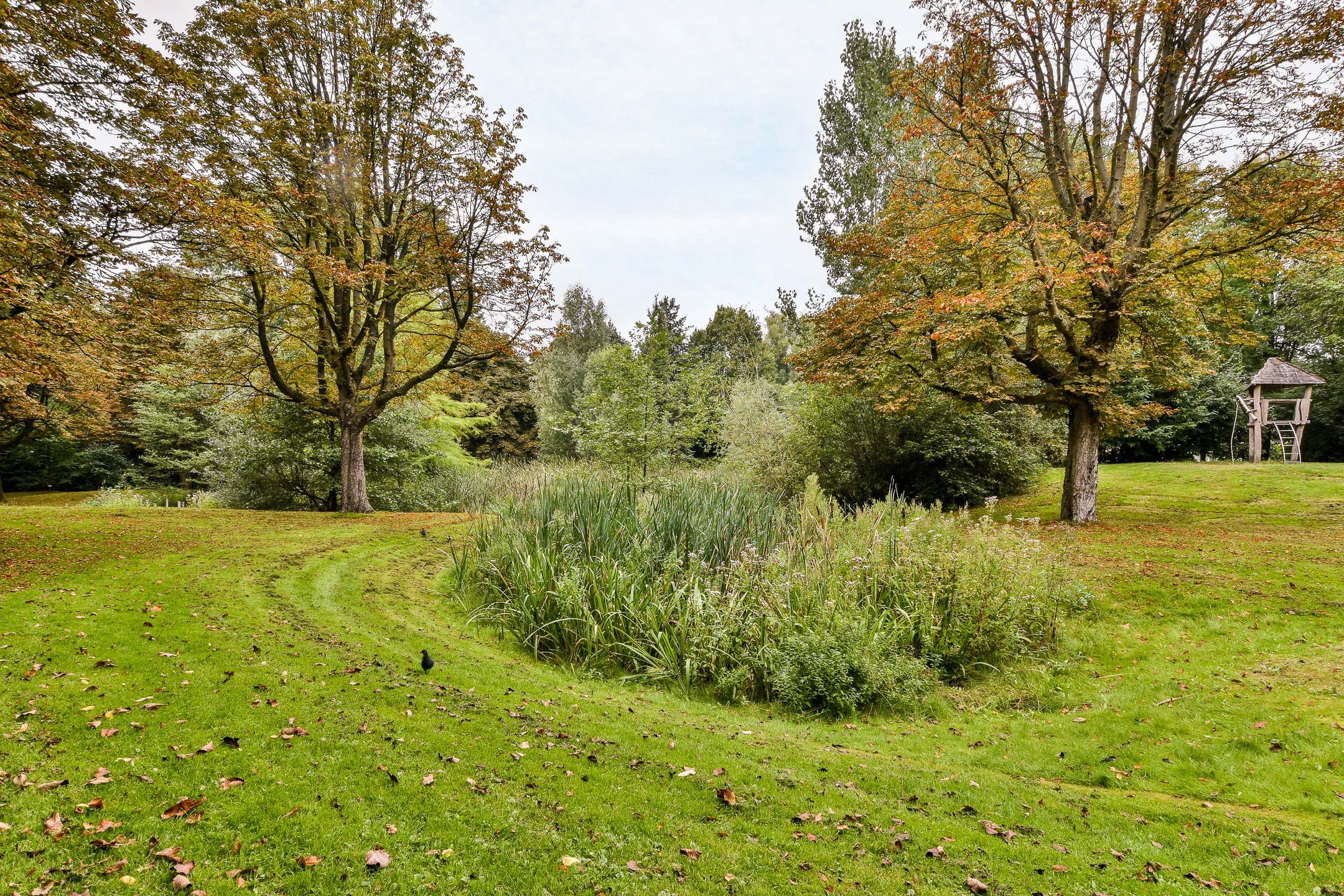 Foto 18 van Rondeel 134