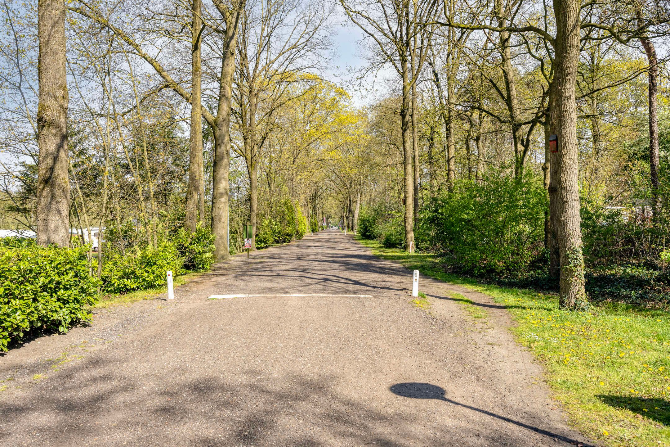 Photo 27 of Grove Den 12