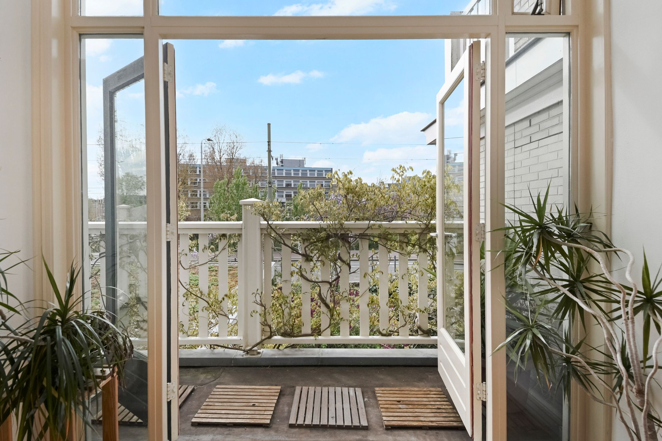 Foto 6 van Obrechtstraat 424